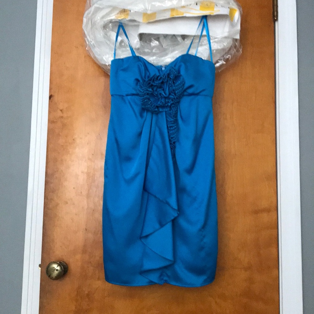 BCBG cocktail dress